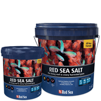Red Sea salt 22 kg bucket